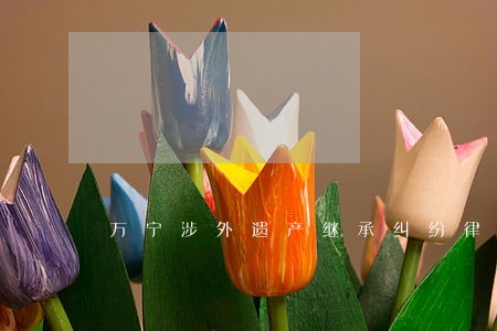 万宁涉外遗产继承纠纷律师
