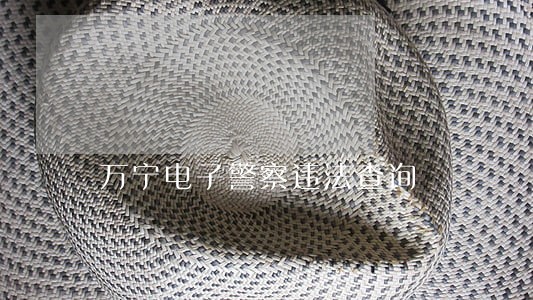 万宁电子警察违法查询 万宁电子警察违法查询