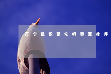 万宁组织聚众吸毒罪律师 万宁组织聚众吸毒罪律师