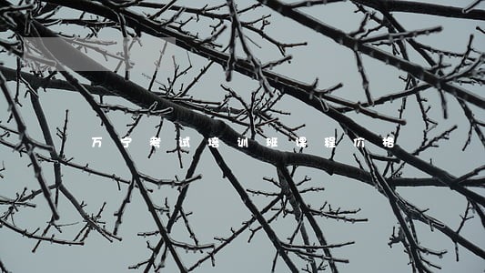 万宁考试培训班课程价格 万宁考试培训班课程价格