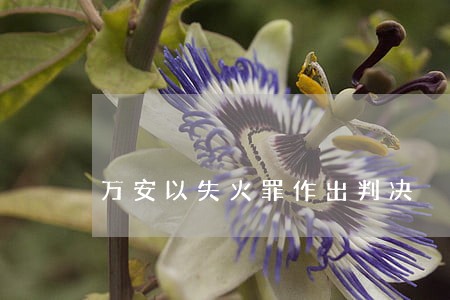 万安以失火罪作出判决