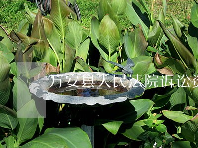 万安县人民法院诉讼资产网