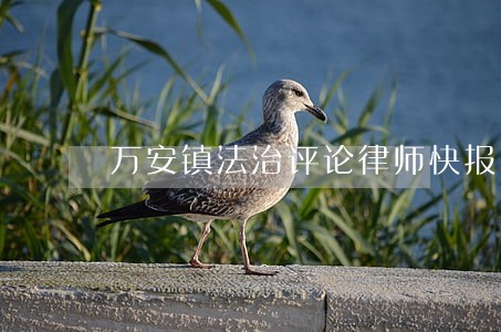 万安镇法治评论律师快报 万安镇法治评论律师快报