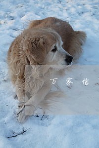 万家信用卡逾期会怎么样 万家信用卡逾期会怎么样
