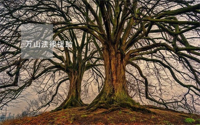 万山法律援助