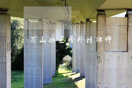 万山特区婚外情律师 万山特区婚外情律师