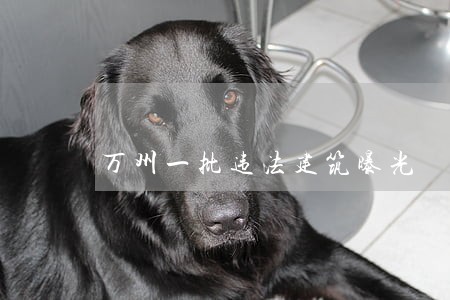 万州一批违法建筑曝光 万州一批违法建筑曝光