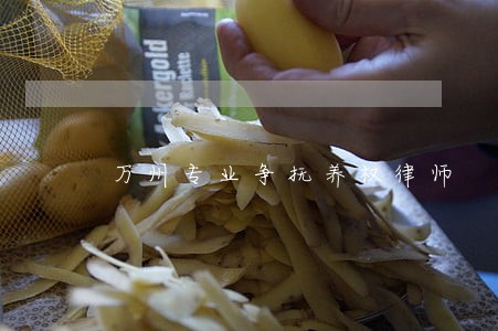 万州专业争抚养权律师 万州专业争抚养权律师