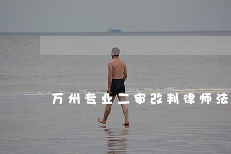 万州专业二审改判律师法律咨询