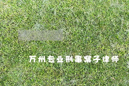 万州专业刑事案子律师 万州专业刑事案子律师