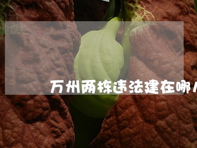 万州两栋违法建在哪儿 万州两栋违法建在哪儿