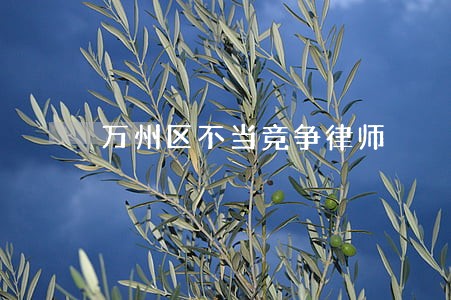 万州区不当竞争律师 万州区不当竞争律师