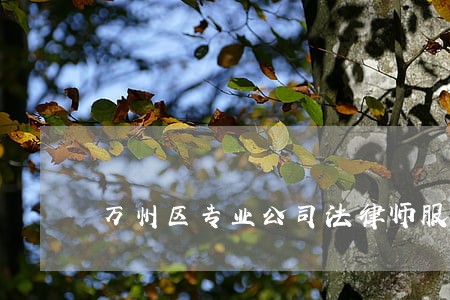 万州区专业公司法律师服务热线