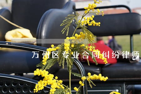 万州区专业合同纠纷律师在线询问 万州区专业合同纠纷律师在线询问