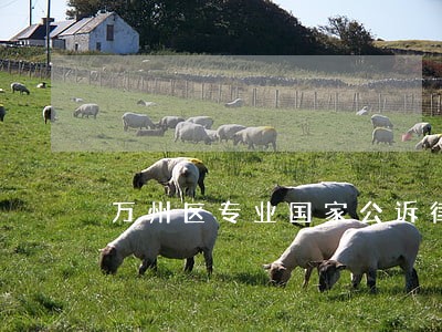 万州区专业国家公诉律师 万州区专业国家公诉律师
