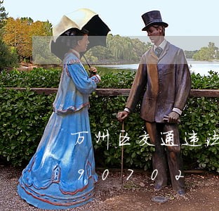 万州区交通违法处理点/2023020390702 万州区交通违法处理点/2023020390702
