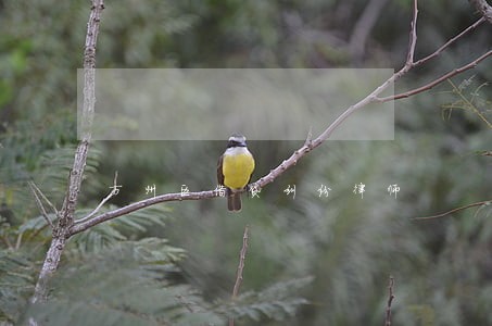 万州区借贷纠纷律师 万州区借贷纠纷律师