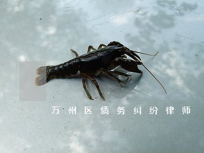 万州区债务纠纷律师 万州区债务纠纷律师