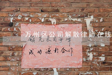万州区公司解散律师在线免费咨询