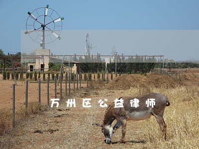 万州区公益律师 万州区公益律师
