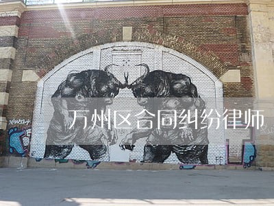 万州区合同纠纷律师 万州区合同纠纷律师