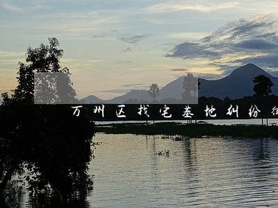 万州区找宅基地纠纷律师 万州区找宅基地纠纷律师