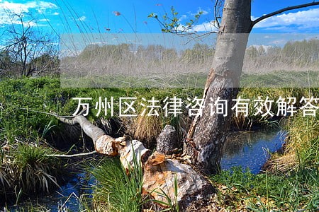 万州区法律咨询有效解答 万州区法律咨询有效解答