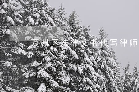 万州区法律文书代写律师咨询电话 万州区法律文书代写律师咨询电话
