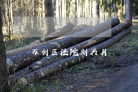 万州区法院刘洪月 万州区法院刘洪月