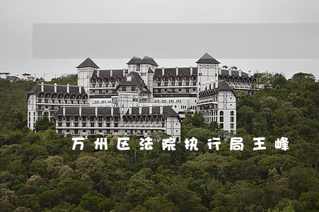 万州区法院执行局王峰