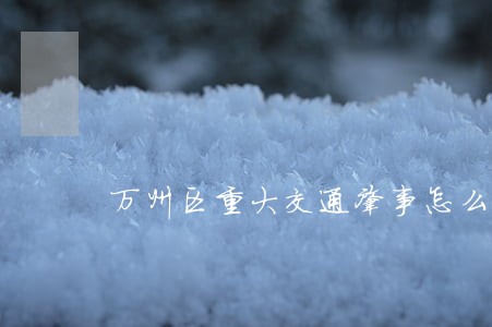 万州区重大交通肇事怎么诉讼