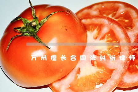 万州擅长合同法纠纷律师 万州擅长合同法纠纷律师