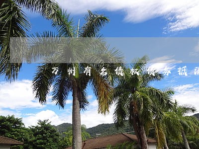 万州有名债权债务抵消律师 万州有名债权债务抵消律师