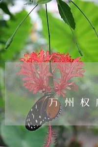 万州权威的离婚后财产分割律师 万州权威的离婚后财产分割律师