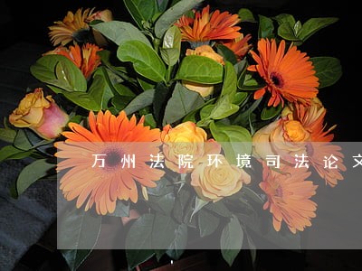 万州法院环境司法论文荣获三等奖
