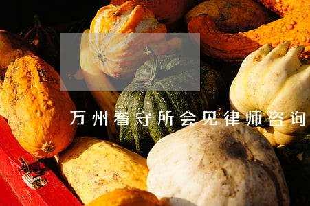 万州看守所会见律师咨询电话 万州看守所会见律师咨询电话
