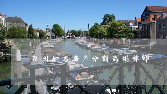 万州知名房产分割离婚律师 万州知名房产分割离婚律师