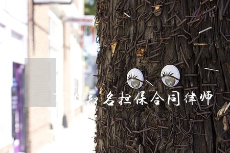 万州知名担保合同律师 万州知名担保合同律师