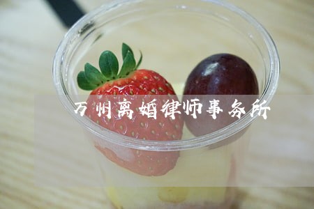 万州离婚律师事务所
