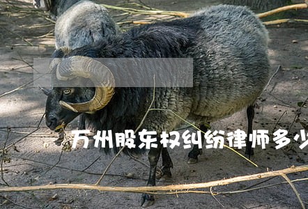 万州股东权纠纷律师多少钱 万州股东权纠纷律师多少钱