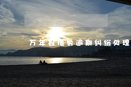 万年县债务逾期纠纷处理律师 万年县债务逾期纠纷处理律师