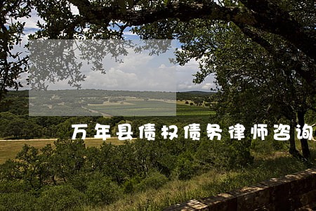 万年县债权债务律师咨询电话 万年县债权债务律师咨询电话