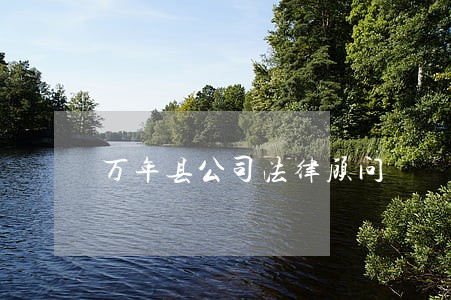 万年县公司法律顾问