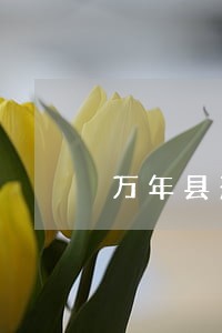 万年县刑事赔偿纠纷律师 万年县刑事赔偿纠纷律师