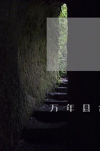 万年县合伙联营在线律师