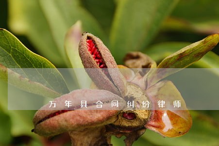 万年县合同纠纷律师 万年县合同纠纷律师