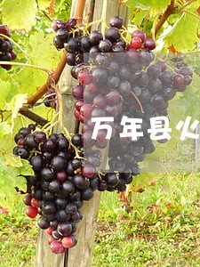 万年县火灾赔偿律师咨询电话 万年县火灾赔偿律师咨询电话