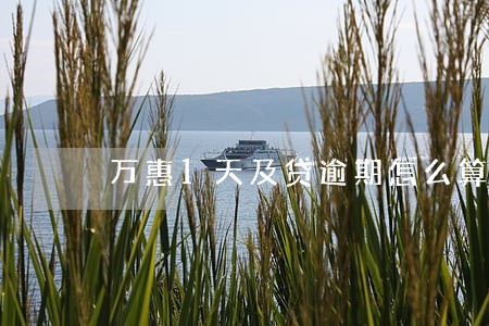 万惠1天及贷逾期怎么算利息 万惠1天及贷逾期怎么算利息