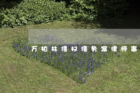 万柏林债权债务案律师事务所 万柏林债权债务案律师事务所