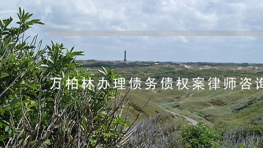 万柏林办理债务债权案律师咨询费 万柏林办理债务债权案律师咨询费